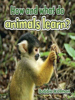 cover image of How and what do animals learn?